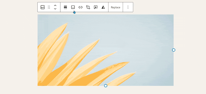 WordPress 6.2重磅升级：多图预览等新功能全面解析