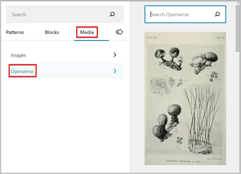 WordPress 6.2测试版新功能改进详解