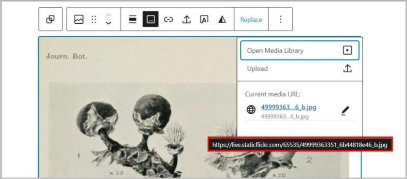 WordPress 6.2测试版新功能改进详解