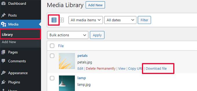WordPress 6.2重磅升级：多图预览等新功能全面解析