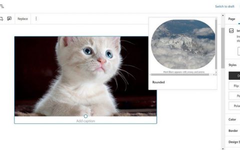 Gutenberg 12.0 小更新，WordPress 5.9 延迟至2022年1月25日发布