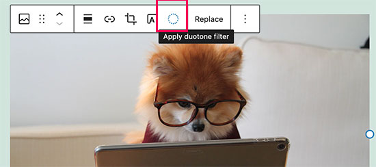 图文介绍 WordPress 5.8 新功能细节