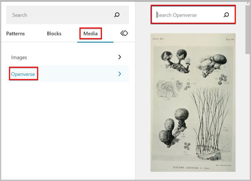 WordPress 6.2测试版新功能改进详解
