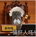 猫猫中文说唱火爆TikTok，神秘东方AI硬控老外