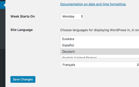 WordPress 首选语言功能是什么，何时可用？