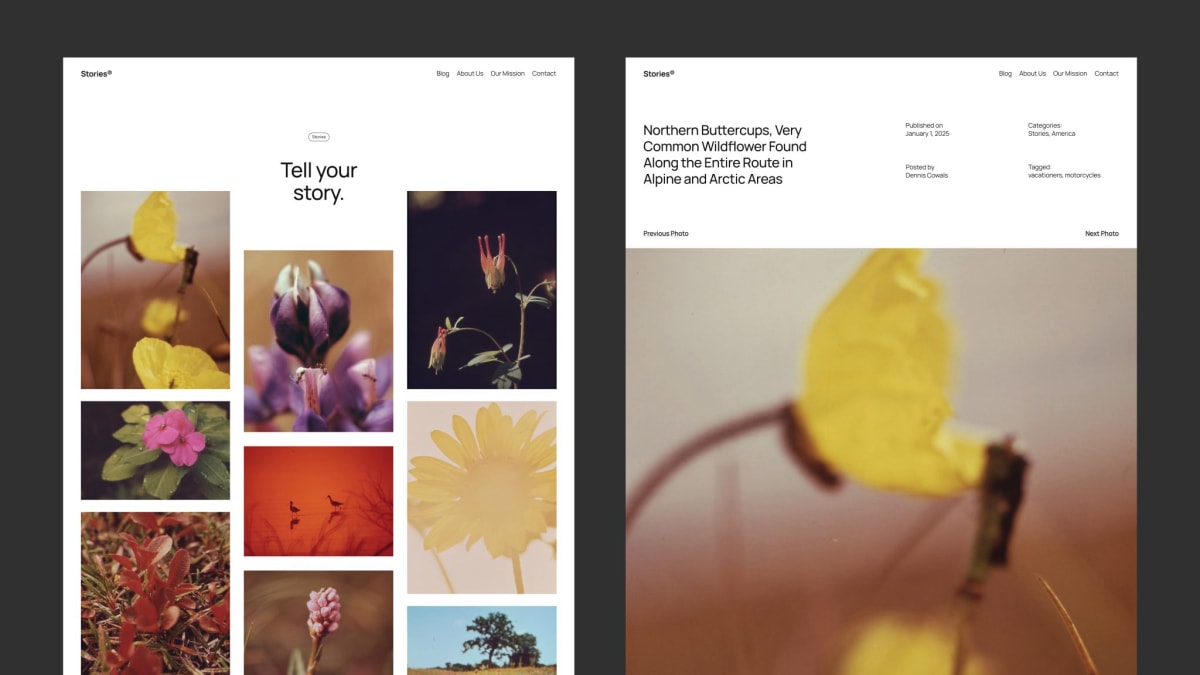 WordPress 6.7 新主题 Twenty Twenty-F​​ive 预览 - Photo