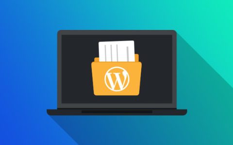 WP Document Revisions 插件 WordPress 文件文档管理教程