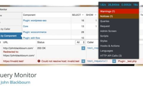 使用 Query Monitor 调试 WordPress 并提高网站性能