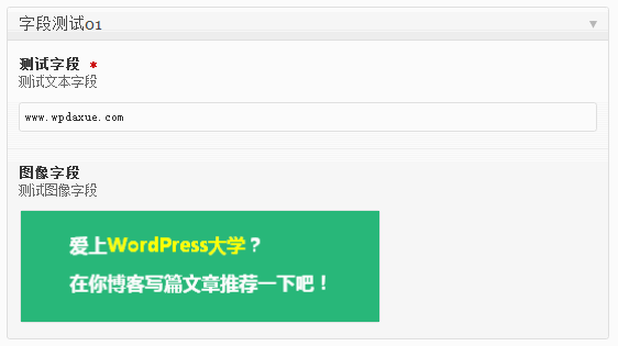 advanced-custom-fields-1-wpdaxue_com