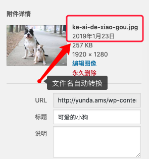 Wenprise Pinyin Slug：文件名、网址转拼音或英文
