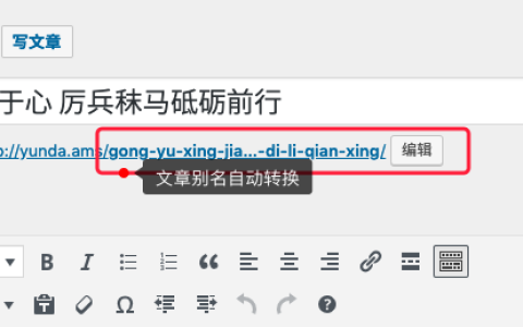 Wenprise Pinyin Slug 插件：WordPress中文别名文件名转拼音英文优化