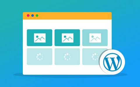 6个好用的WordPress Lazy Loading延迟加载插件