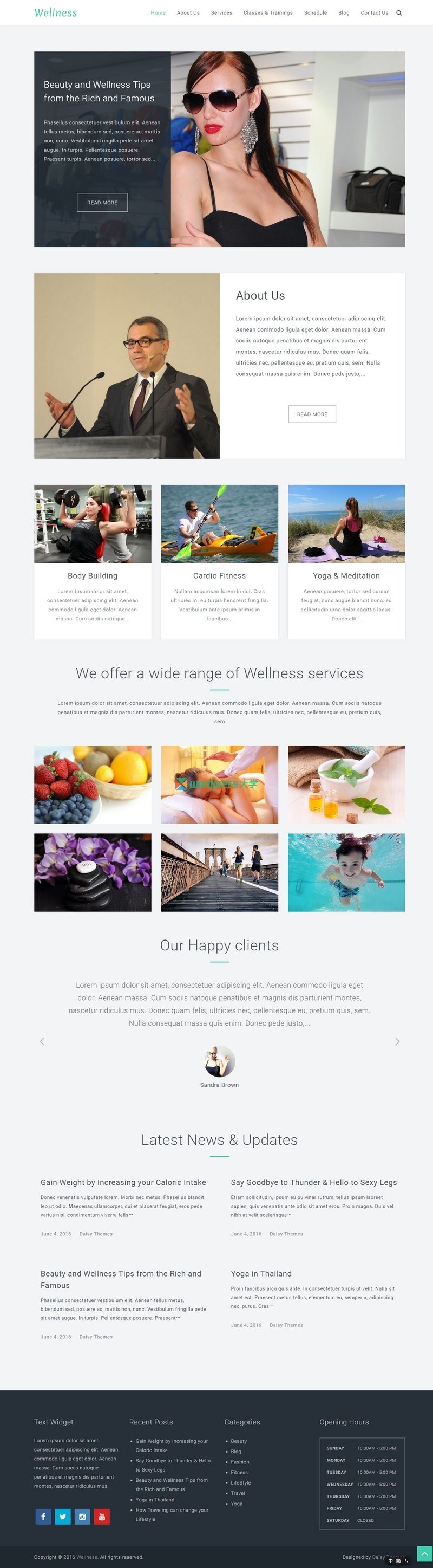 WordPress免费多用途企业主题Wellness适用于温泉美容健身等