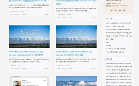 Salong WordPress免费主题特色功能与使用教程分享
