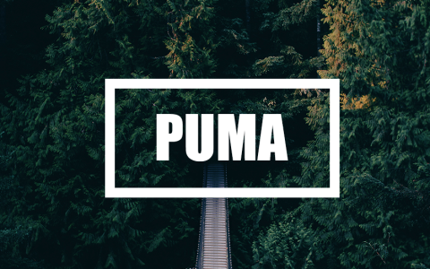 WordPress Puma单栏个人博客主题 简洁大方易上手