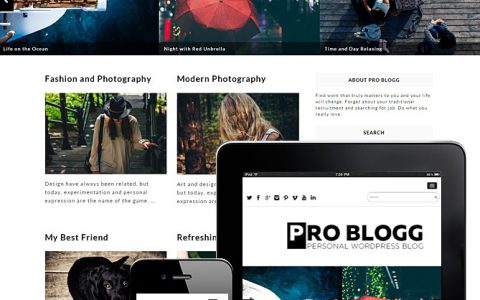 Pro Blogg WordPress免费博客主题 现代美观SEO优化响应式设计