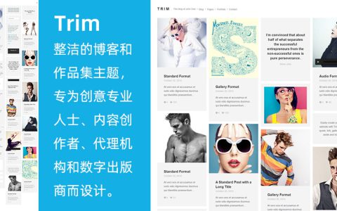 WordPress瀑布流博客作品集主题 Trim