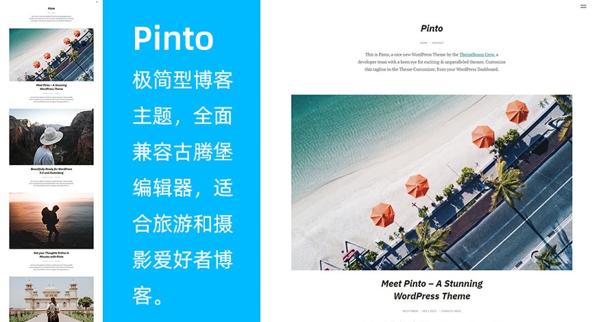 WordPress 极简博客主题 Pinto