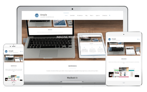 Ample WordPress企业主题 兼容WooCommerce 响应式电商网站设计