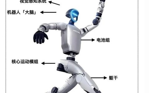 2025机器人产业高地争夺战：谁将领跑具身智能赛道