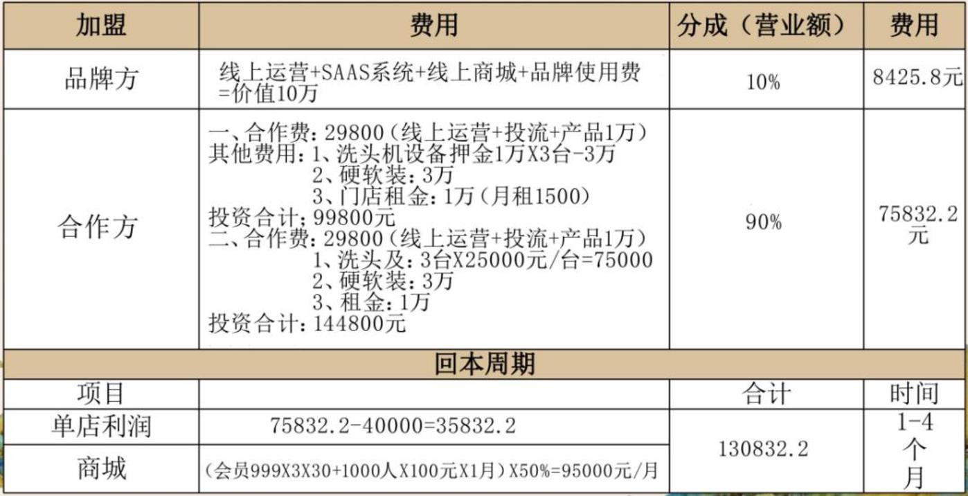 块9的AI洗头：颠覆还是泡沫？"