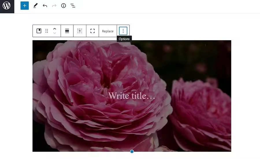209d045d-fe76-491b-b161-4c47e0e05028_How-to-fix-wordpress-image-issues-DreamHost-11.jpgo_