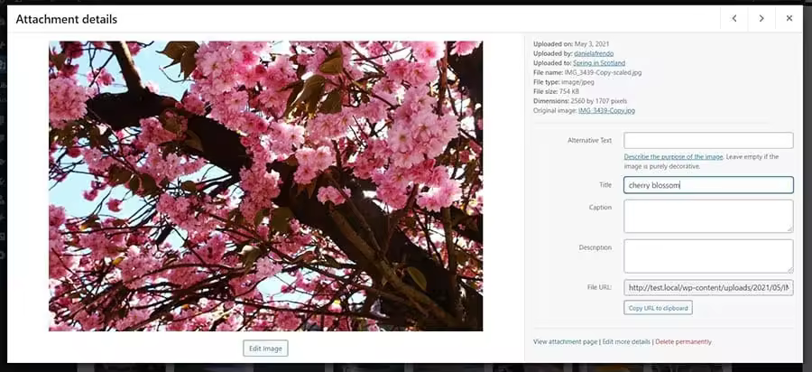 67605320-3bb0-486f-8b9f-a8f0a6240a5c_How-to-fix-wordpress-image-issues-DreamHost-1.jpgo_