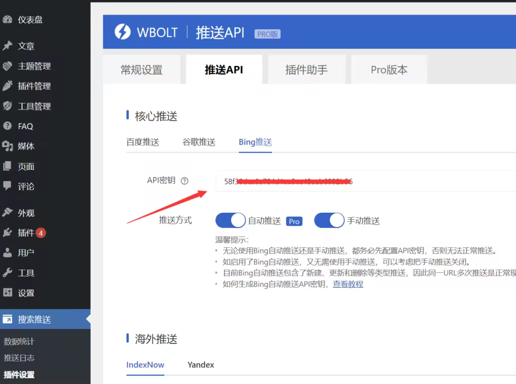 Add-Bing-API-key-to-BSL-1024x762.pngo_