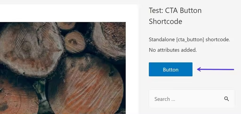 CTA-Button-First-Test-Output-1024x486.jpgo_