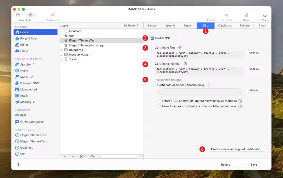 Extended-View-SSL-settings.jpgo_