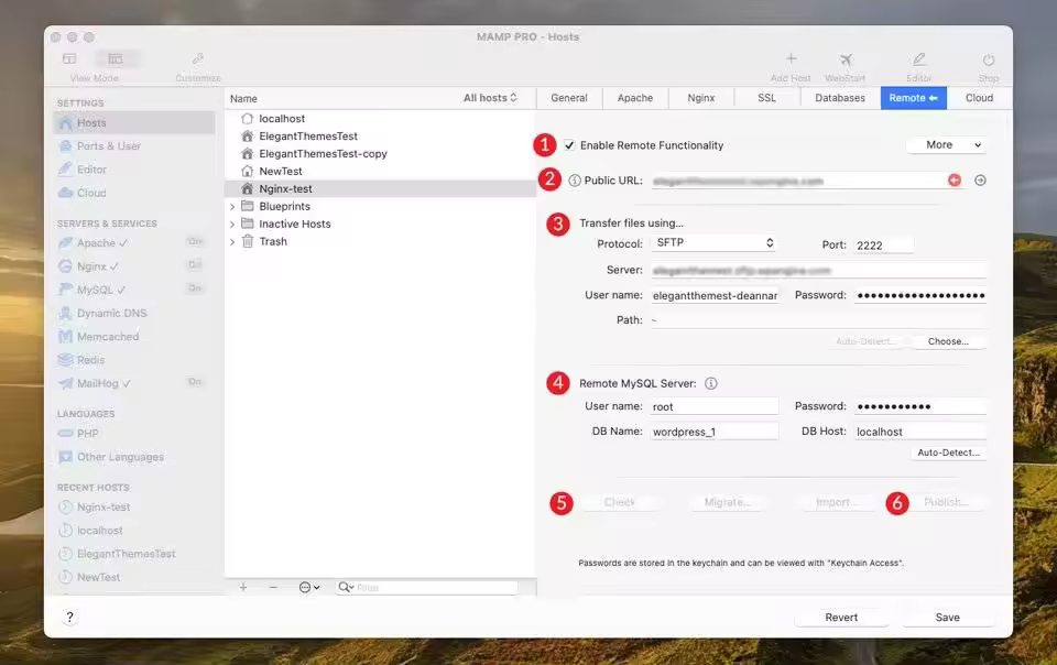 Push-WordPress-Live.jpgo_