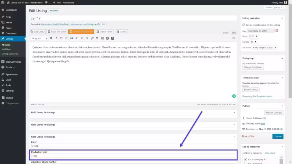 Toolset-plugin-custom-field-wordpress-backend-2-1024x576.jpgo_