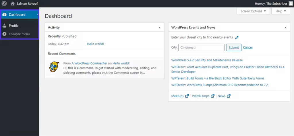 WordPress-Subscriber-Dashboard-Example-1024x474.pngo_