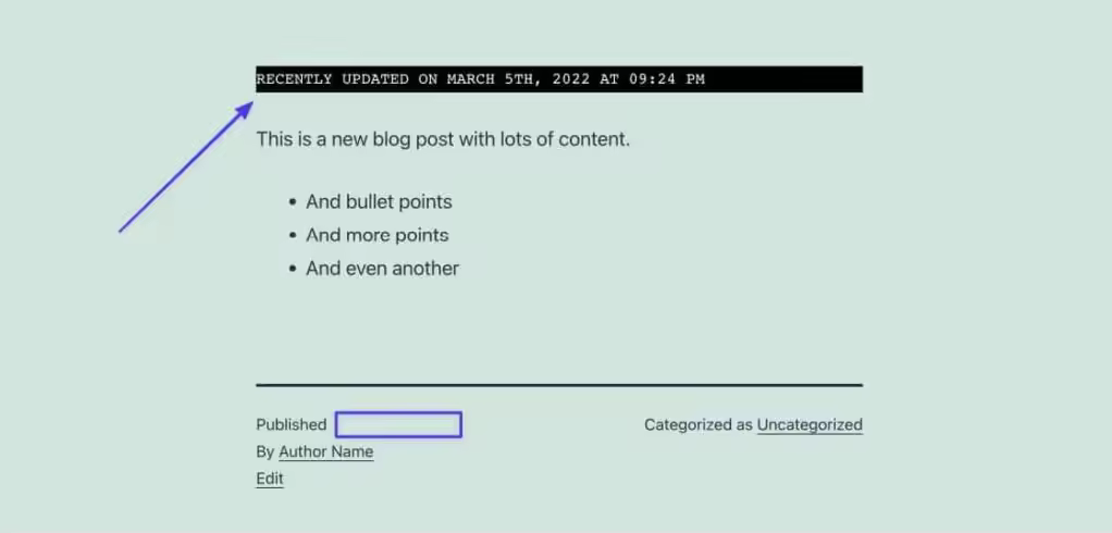 You-should-see-the-updated-date-without-the-published-date-on-the-frontend.jpego_