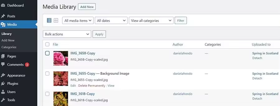 b06c170d-b4af-4b3c-b555-8b83c1b88e5d_How-to-fix-wordpress-image-issues-DreamHost-14.jpgo_