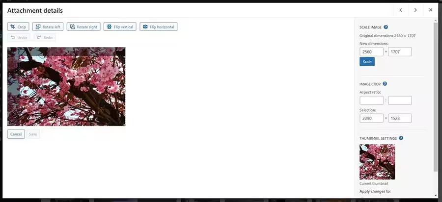 c737fe7c-e316-4007-855f-3bce620e543a_How-to-fix-wordpress-image-issues-DreamHost-3.jpgo_