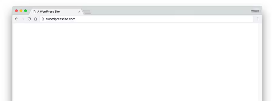 cf02fff1-2da2-4c27-b288-c28b2eab9588_common-wp-errors-3.jpgo_