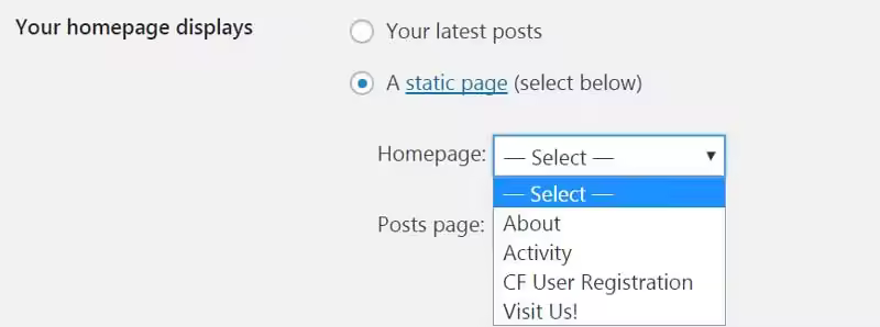 choosing-static-page-1c63e157c883e380cc3688b52d9a11e123b527268e63cc89202389debbfb2c28.jpgo_