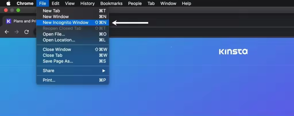 chrome-incognito-mode-1024x406.jpgo_