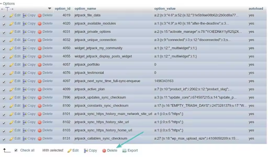 delete-autoloaded-tables-1-1024x600.jpgo_