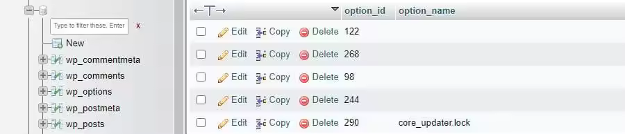 delete-core-updater-lock.jpgo_