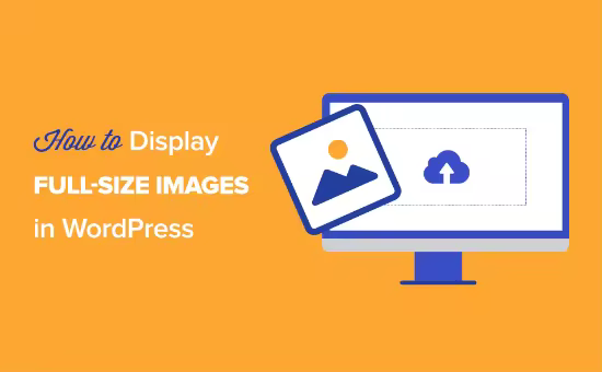 display-full-size-images-wordpress-opengraph.pngo_