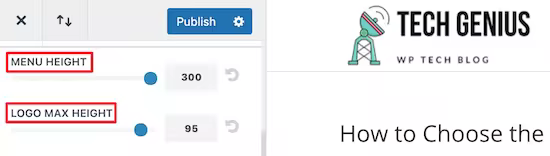 divi-adjust-logo-height.pngo_