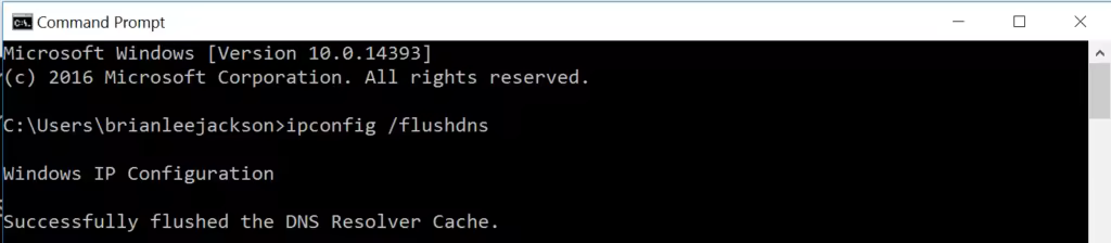 flushed-dns-resolver-cache-1-1-1024x224.pngo_
