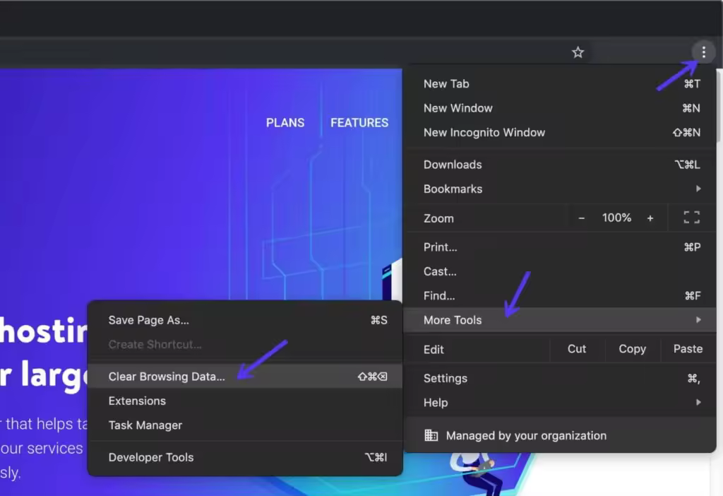 google-chrome-clear-browsing-data-1024x702.jpgo_