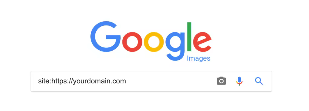 google-image-search-check-indexing.pngo_