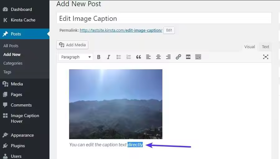 how-to-add-caption-to-images-in-wordpress-11.jpgo_