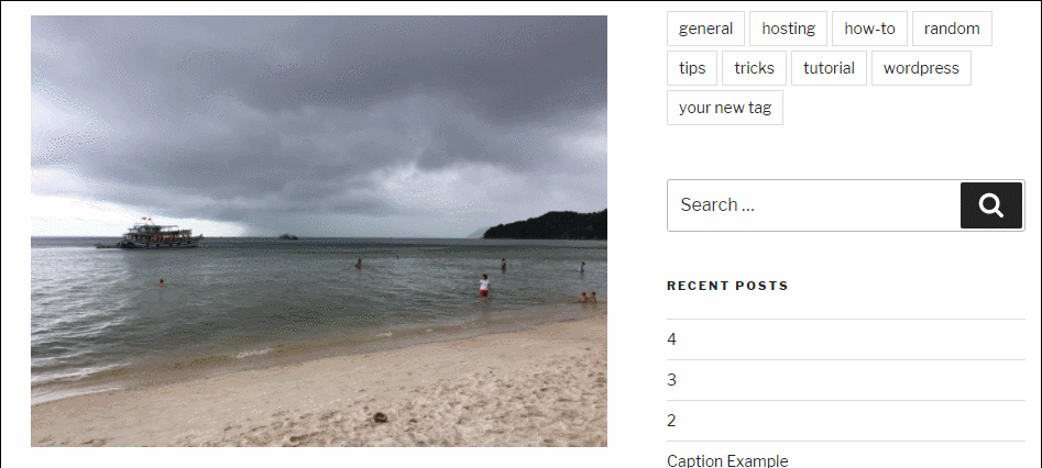 how-to-add-caption-to-images-in-wordpress-7