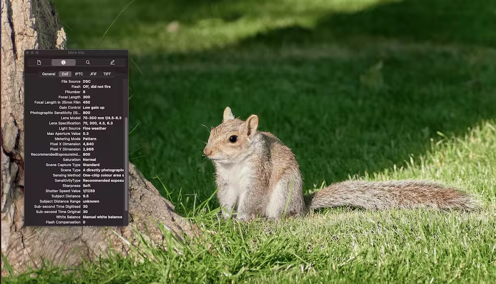 image-metadata.pngo_
