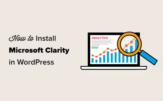 WordPress网站安装微软数据分析Clarity图文教程
